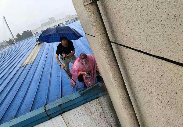 十八款禁用看尿口入口董事长房顶查探